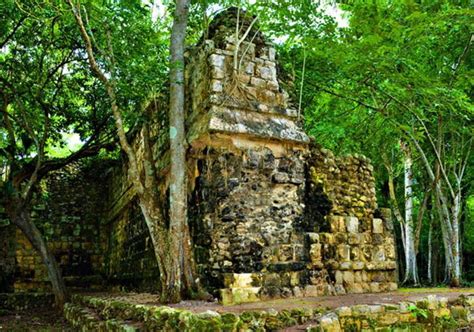 ancient mayan palace uncovered  mexicos yucatan jungle