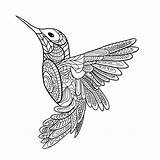 Mandalas Colibri Oiseau Animaux Contemporain Abstractos Faciles Amitié Ausdrucken Gratis Ayanna Khwite sketch template