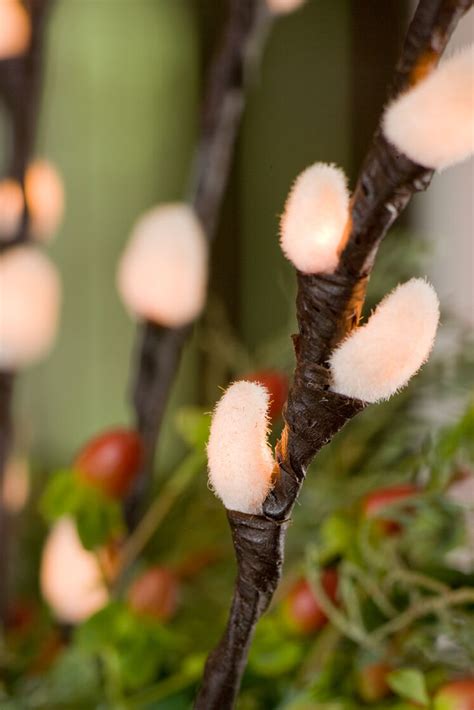 pussy willow lights buy from gardener s supply