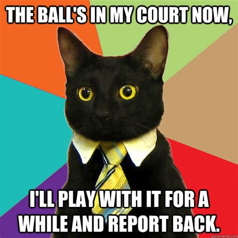 The Ball S In My Court Now Cat Meme Cat Planet Cat Planet