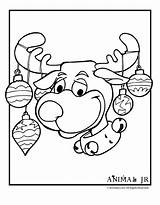 Reindeer Coloring Pages Christmas Cartoon Print Drawing Colouring Printables Cute Disney Kids Clipart Xmas Silly Library Zentangle Animal Cards Card sketch template