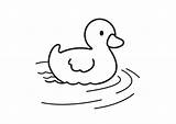 Papera Duckling Facili sketch template
