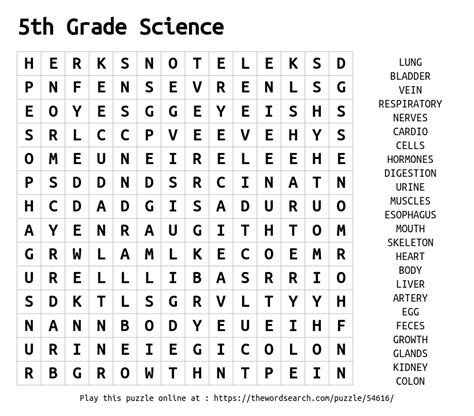 word search   grade science