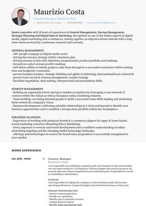 vp sales marketing resume samples  templates visualcv