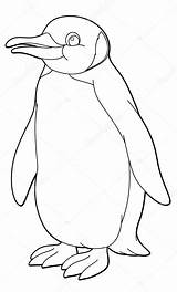 Arctic Coloring Penguin Animal Stock Depositphotos sketch template