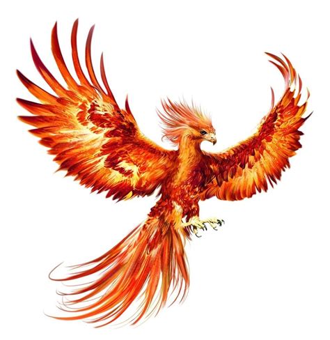 favorite mythical bird  phoenix harry potter tattoos harry