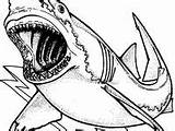 Jaws Shark sketch template