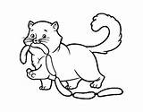 Sausage Cat Coloring Coloringcrew Colorear sketch template