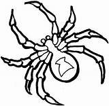 Spider Coloring Pages Choose Board Widow sketch template