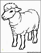 Coloring Lamb Easter Printable Pages Sheep Divyajanani sketch template