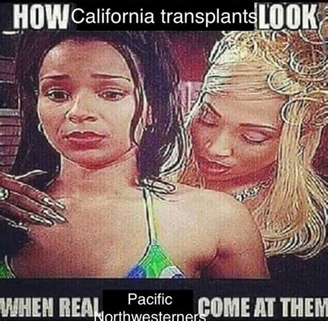 How California Transplants Look How Fake X Look When Real Y Come At