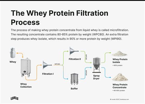 whey protein isolate  concentrate      levels