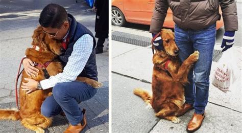 este perro es conocido en todo el barrio por su curiosa pasion abrazar a los transeuntes