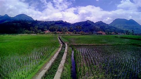 drone murah syma xhg   pro   sawah karangtengah kadungora garut youtube