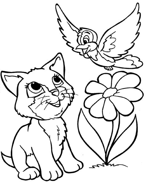 animals coloring pages coloringkidsorg