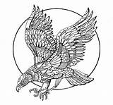 Falke Adler Malvorlagen Vecteur Tiere Adultes Oiseau Adulti Vettore Uccello Erwachsene Aquila Ausmalbildertv sketch template