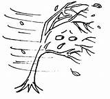 Windy Wind Clipart Weather Coloring Drawing Pages Kids Colour Clip Tree Lessons Storm Colouring Cliparts Line Gif Drawings Trees Color sketch template