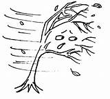 Windy Wind Clipart Weather Coloring Drawing Pages Kids Colour Clip Tree Lessons Line Storm Trees Colouring Cliparts Gif Color Cloud sketch template