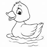 Duck Pato Goose Pngegg Lucas Kaynak Coloringpage sketch template