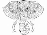 Elefante Adulti Vettore Coloritura sketch template