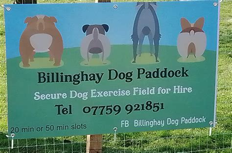 blank page billinghay dog paddock