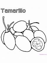 Tamarillo sketch template