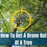 drone    tree drone retrieval tips