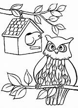 Hibou Hiboux Arbre Imprimer Owls Coloriages Dessiner Mignon Dessins Justcolor Animaux Chouette Maternelle Azcoloriage sketch template
