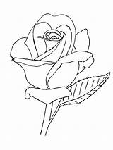 Rose Drawing Line Drawings Lineart Outline Deviantart Flower Coloring Roses Pages Simple Colouring Flowers Printable Embroidery Tattoo Color Board Books sketch template