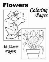 Flowers Coloring Pages Flower Printable Kids Sheets Color Print Spongebob Raisingourkids Fun Worksheets Outline Raising Animal Book Christmas Daisy sketch template