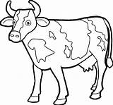 Cow Coloring Pages Kids Farm Animal Getdrawings sketch template