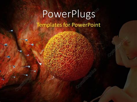 powerpoint template sperm traveling to fertilize the
