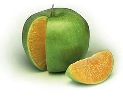 pomme ou orange