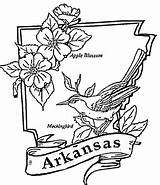Arkansas Coloring Pages Printable Flag Illinois State Razorbacks Color Colorings Supercoloring Kids Getdrawings Getcolorings Facts Template Categories Silhouettes sketch template