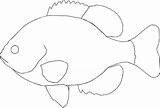 Coloring Fish Wecoloringpage Pages sketch template