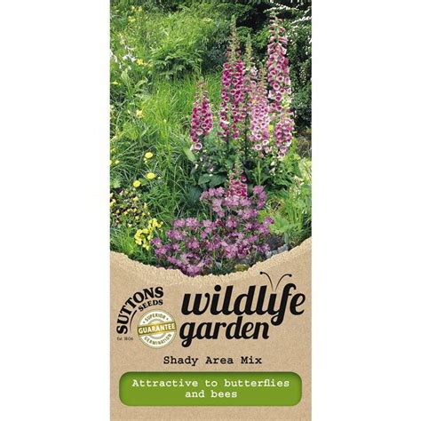windflower wildflower seeds gratisfaction uk