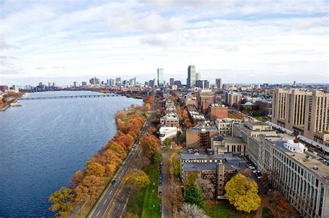 boston university  education degrees