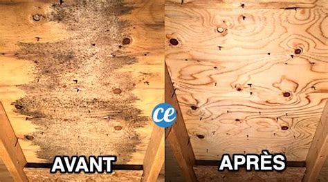 comment enlever de la moisissure sur  meuble en bois facile rapide