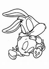 Looney Tunes Piu Bugs Desenho Pernalonga Getdrawings Colorindo Tweety sketch template