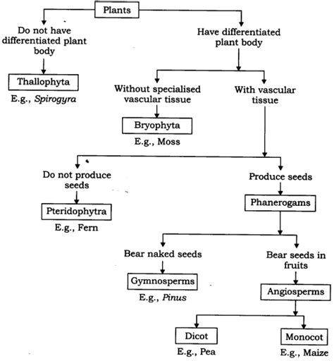 Ncert Solutions For Class 9 Science Chapter 7 Diversity In