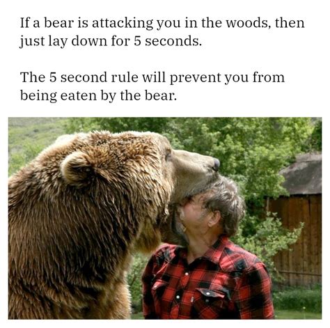 advice   bear attacks  rmemes