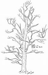 Tree Drawing Trees Draw Realistic Simple Step Steps Line Drawings Easy Pencil Drawinghowtodraw Learn Patterns Getdrawings Bark Marks Randomized Over sketch template
