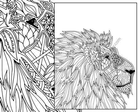 lion coloring pages  adults  lion coloring pages animal