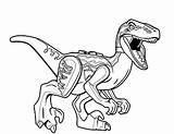 Pages Printable Velociraptor Coloring Colouring Getdrawings Color Getcolorings sketch template
