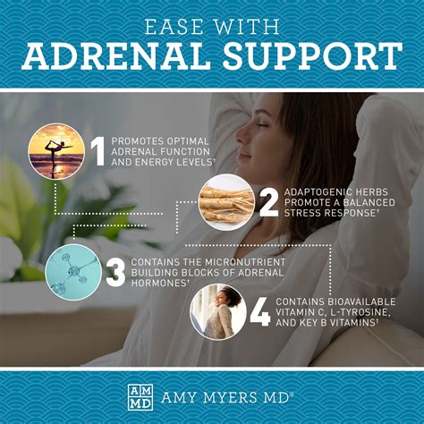 Adrenal Support Supplement Amy Myers Md