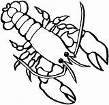 Lobster Outline Clipart Wikiclipart sketch template