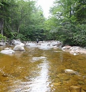 Image result for West Branch Upper Ammonoosuc River. Size: 174 x 185. Source: nativefishcoalition.org