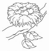 Nest Coloring Bird Pages Eggs Drawing Place Safest Colouring Printable Color Tocolor Animal Getdrawings Template Drawings Choose Board Sketch 616px sketch template