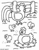 Coloring Pages Farm Animal sketch template