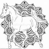 Mandala Horse Coloring Pages Printable Adult Herd Choose Board Color Getcolorings Getdrawings Print sketch template